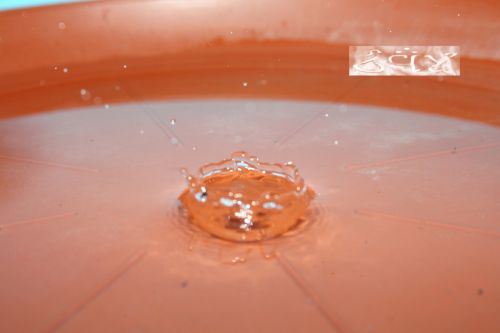 Fotografia de erakos32 - Galeria Fotografica: gotas - Foto: 41