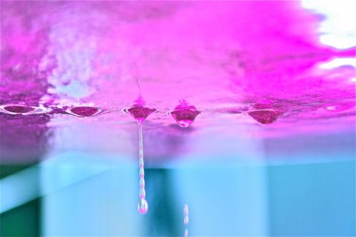 Fotografia de neus_fafa - Galeria Fotografica: atmosFERA part01 - Foto: 