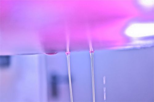 Fotografia de neus_fafa - Galeria Fotografica: atmosFERA part01 - Foto: 