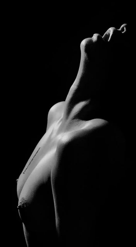 Fotografia de Fofidia - Galeria Fotografica: desnudo artstico - Foto: 