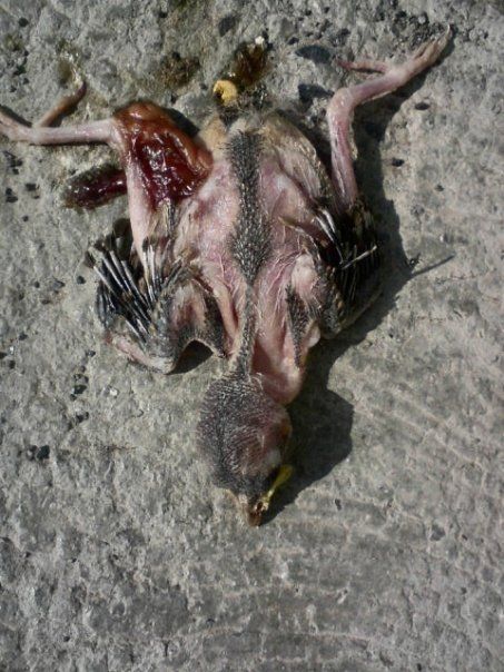 Fotografia de ellarquix - Galeria Fotografica: de todo un poco.. - Foto: destino natural