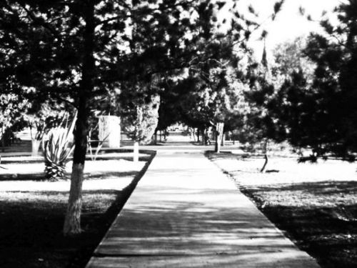 Fotografia de ellarquix - Galeria Fotografica: de todo un poco.. - Foto: sendero