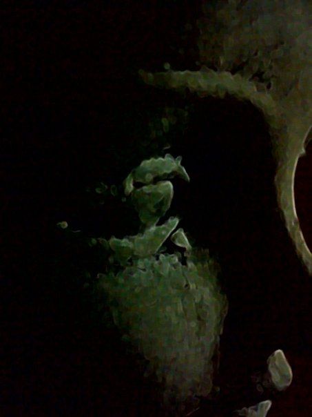 Fotografia de ellarquix - Galeria Fotografica: de todo un poco.. - Foto: lagrima