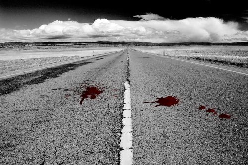 Fotografia de Foto Morgado - Galeria Fotografica: Portfolio Foto Morgado - Foto: Camino a la nada