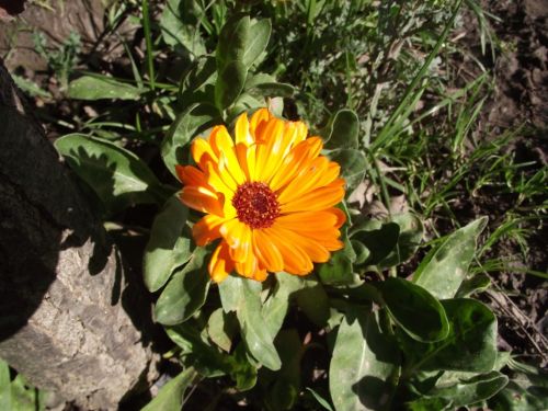 Fotografia de joseasddiaz - Galeria Fotografica: naturaleza  - Foto: 