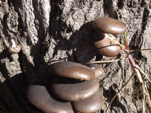 Fotografia de joseasddiaz - Galeria Fotografica: naturaleza  - Foto: 