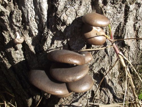 Fotografia de joseasddiaz - Galeria Fotografica: naturaleza  - Foto: 