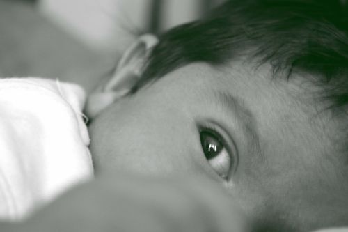 Fotografia de marcelo espinoza s. - Galeria Fotografica: Retratos - Foto: 