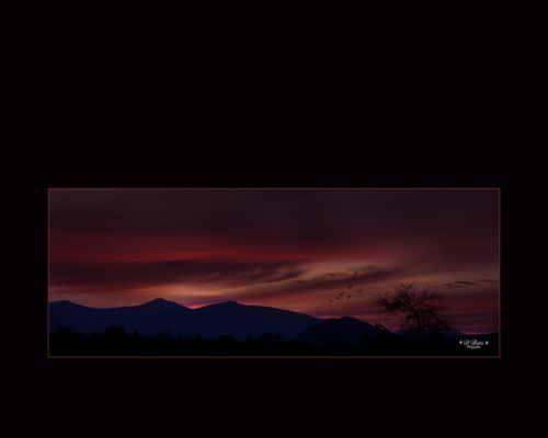 Fotografia de Beto Cholico Fotografos - Galeria Fotografica: coleccion honor Monterrey 2011 - Foto: Volviendo a Casa