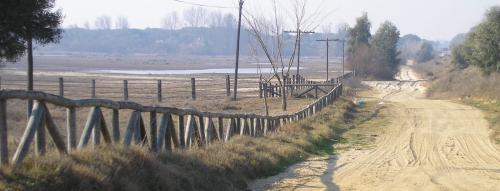 Fotografia de ASPlife - Galeria Fotografica: Mar y Roc�o - Foto: 