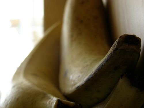 Fotografia de HdPixel - Galeria Fotografica: MacroHomework - Foto: 