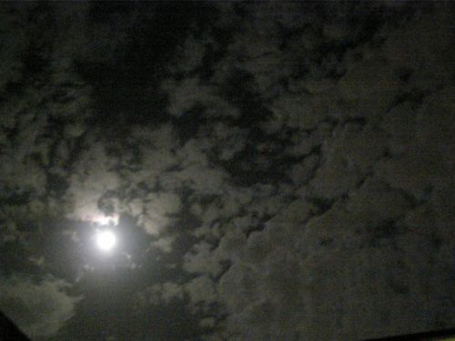 Fotografia de HdPixel - Galeria Fotografica: MacrOcio - Foto: 