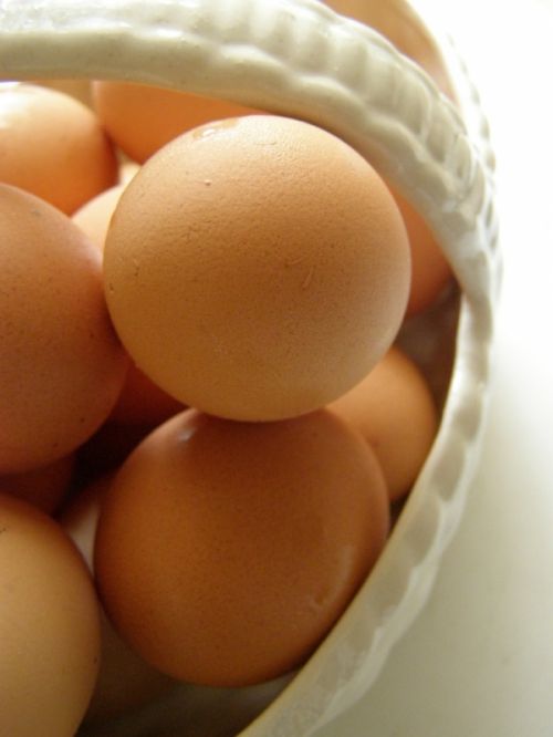 Fotografia de HdPixel - Galeria Fotografica: MacroHomework - Foto: 