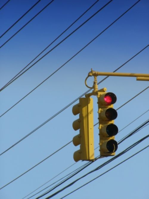 Fotografia de HdPixel - Galeria Fotografica: MacrOcio - Foto: 