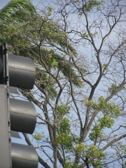 Fotografia de HdPixel - Galeria Fotografica: MacrOcio - Foto: 