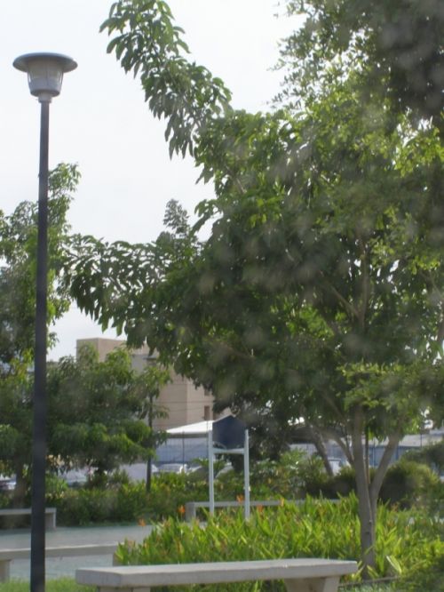 Fotografia de HdPixel - Galeria Fotografica: MacrOcio - Foto: 