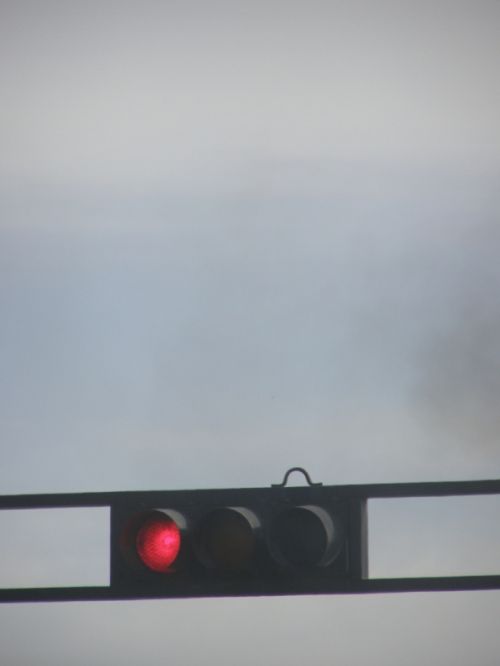 Fotografia de HdPixel - Galeria Fotografica: MacrOcio - Foto: 