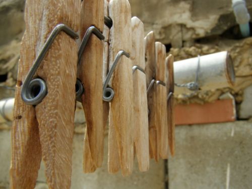 Fotografia de HdPixel - Galeria Fotografica: MacroHomework - Foto: 