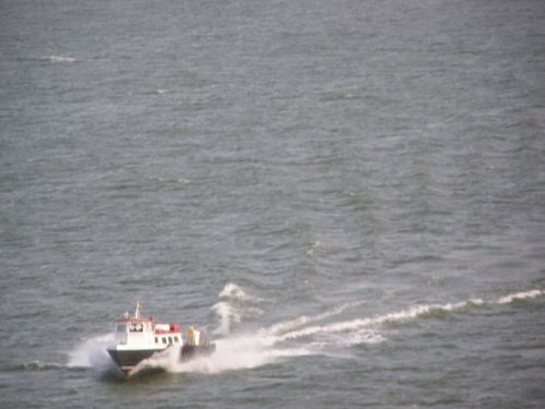 Fotografia de HdPixel - Galeria Fotografica: MacrOcio - Foto: 