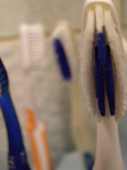 Fotografia de HdPixel - Galeria Fotografica: MacroHomework - Foto: 