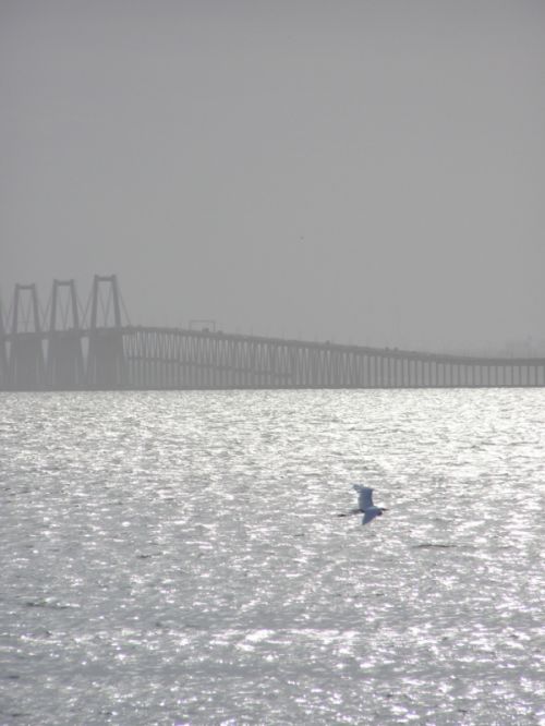 Fotografia de HdPixel - Galeria Fotografica: MacrOcio - Foto: 