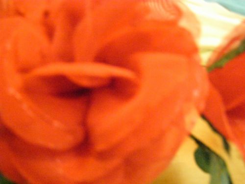 Fotografia de HdPixel - Galeria Fotografica: MacroHomework - Foto: 