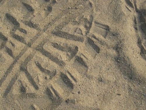 Fotografia de HdPixel - Galeria Fotografica: MacrOcio - Foto: 