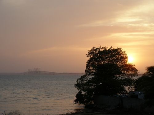 Fotografia de HdPixel - Galeria Fotografica: MacrOcio - Foto: 