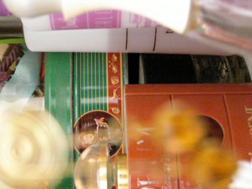 Fotografia de HdPixel - Galeria Fotografica: MacroHomework - Foto: 