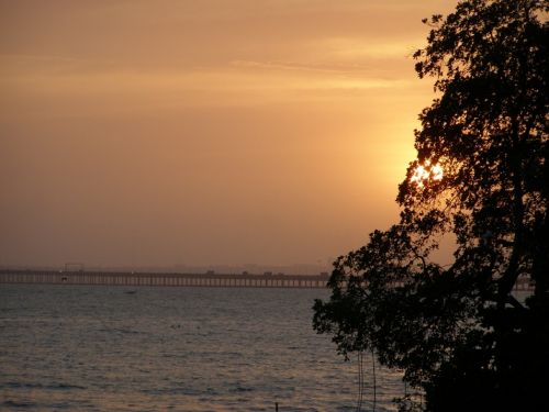 Fotografia de HdPixel - Galeria Fotografica: MacrOcio - Foto: 