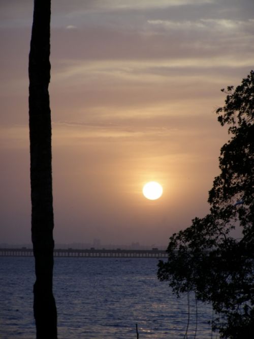 Fotografia de HdPixel - Galeria Fotografica: MacrOcio - Foto: 