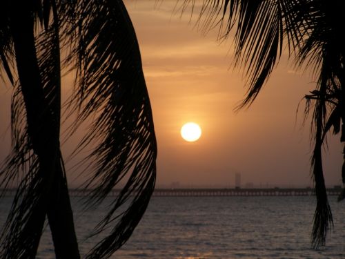 Fotografia de HdPixel - Galeria Fotografica: MacrOcio - Foto: 