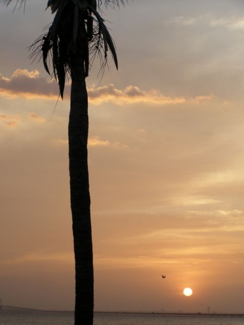 Fotografia de HdPixel - Galeria Fotografica: MacrOcio - Foto: 