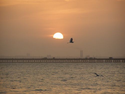 Fotografia de HdPixel - Galeria Fotografica: MacrOcio - Foto: 