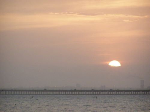 Fotografia de HdPixel - Galeria Fotografica: MacrOcio - Foto: 