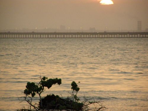 Fotografia de HdPixel - Galeria Fotografica: MacrOcio - Foto: 