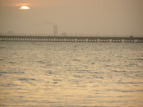 Fotografia de HdPixel - Galeria Fotografica: MacrOcio - Foto: 