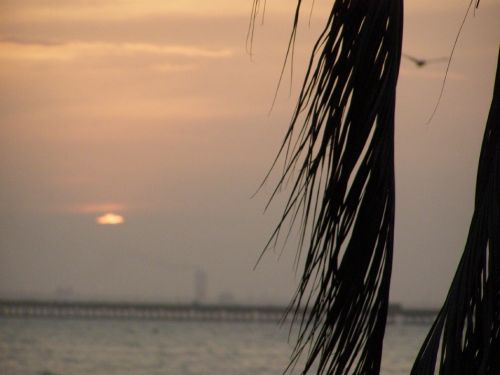 Fotografia de HdPixel - Galeria Fotografica: MacrOcio - Foto: 