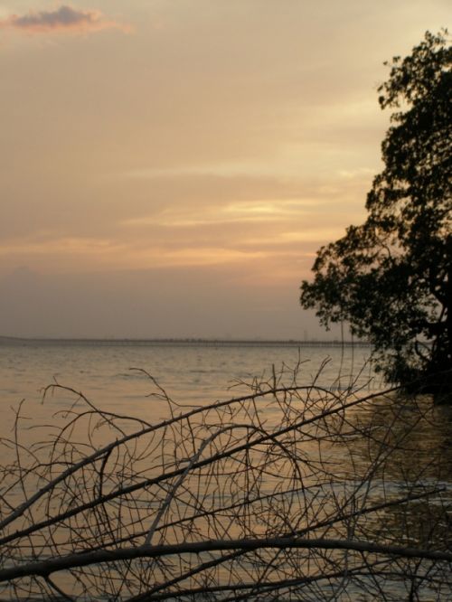 Fotografia de HdPixel - Galeria Fotografica: MacrOcio - Foto: 