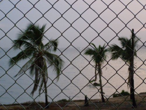 Fotografia de HdPixel - Galeria Fotografica: MacrOcio - Foto: 