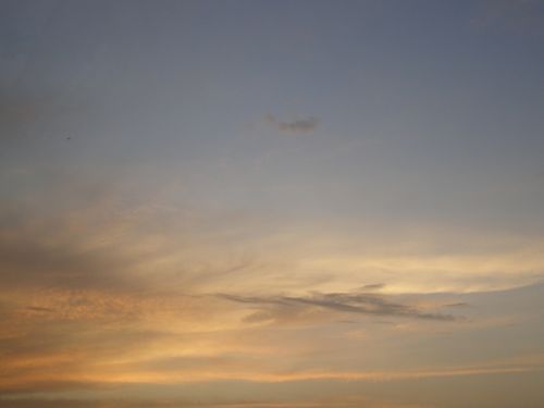 Fotografia de HdPixel - Galeria Fotografica: MacrOcio - Foto: 