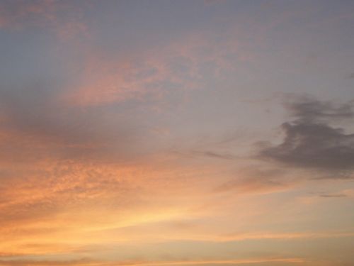 Fotografia de HdPixel - Galeria Fotografica: MacrOcio - Foto: 