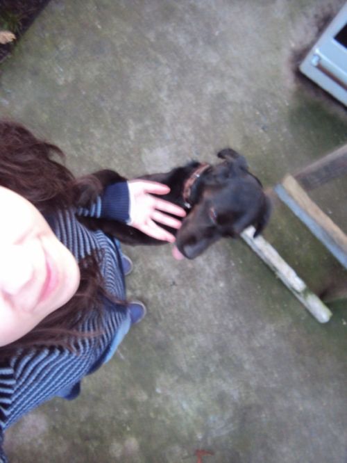 Fotografia de P.a.o - Galeria Fotografica: AniMalS - Foto: =)