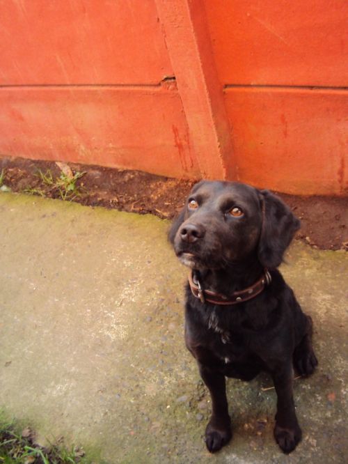 Fotografia de P.a.o - Galeria Fotografica: AniMalS - Foto: Mirando Nada