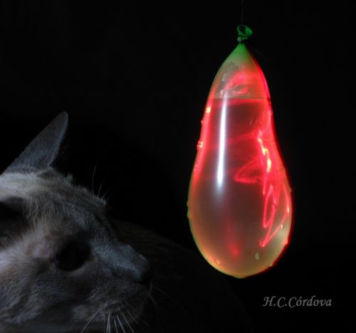 Fotografia de hugo - Galeria Fotografica: jugando con agua - Foto: 