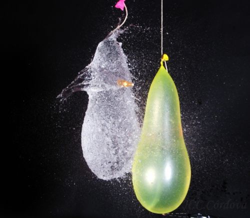 Fotografia de hugo - Galeria Fotografica: jugando con agua - Foto: 