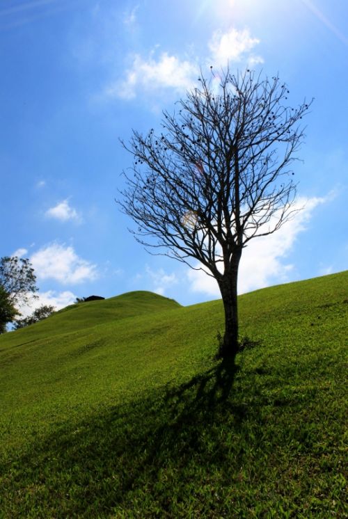 Fotografia de ATXphotography - Galeria Fotografica: PAISAJE - Foto: COMALCALCO / Esteban M. Luna