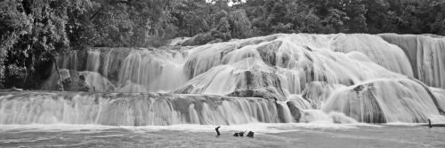 Fotografia de ATXphotography - Galeria Fotografica: PAISAJE - Foto: CASCADAS DE AGUA AZUL / Esteban M. Luna