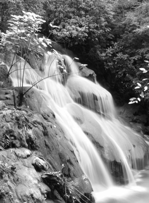 Fotografia de ATXphotography - Galeria Fotografica: PAISAJE - Foto: PALENQUE / Esteban M. Luna