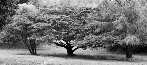 Fotografia de ATXphotography - Galeria Fotografica: PAISAJE - Foto: CHINKULTIC / Esteban M. Luna